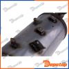 Filtres à Particules Diesel EURO4/5 pour FORD | DPF-FR-010, 8LG366070-551